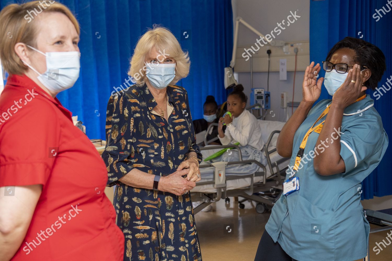 the-duchess-of-cornwall-visits-the-whittington-hospital-london-uk-shutterstock-editorial-11900696u.jpg
