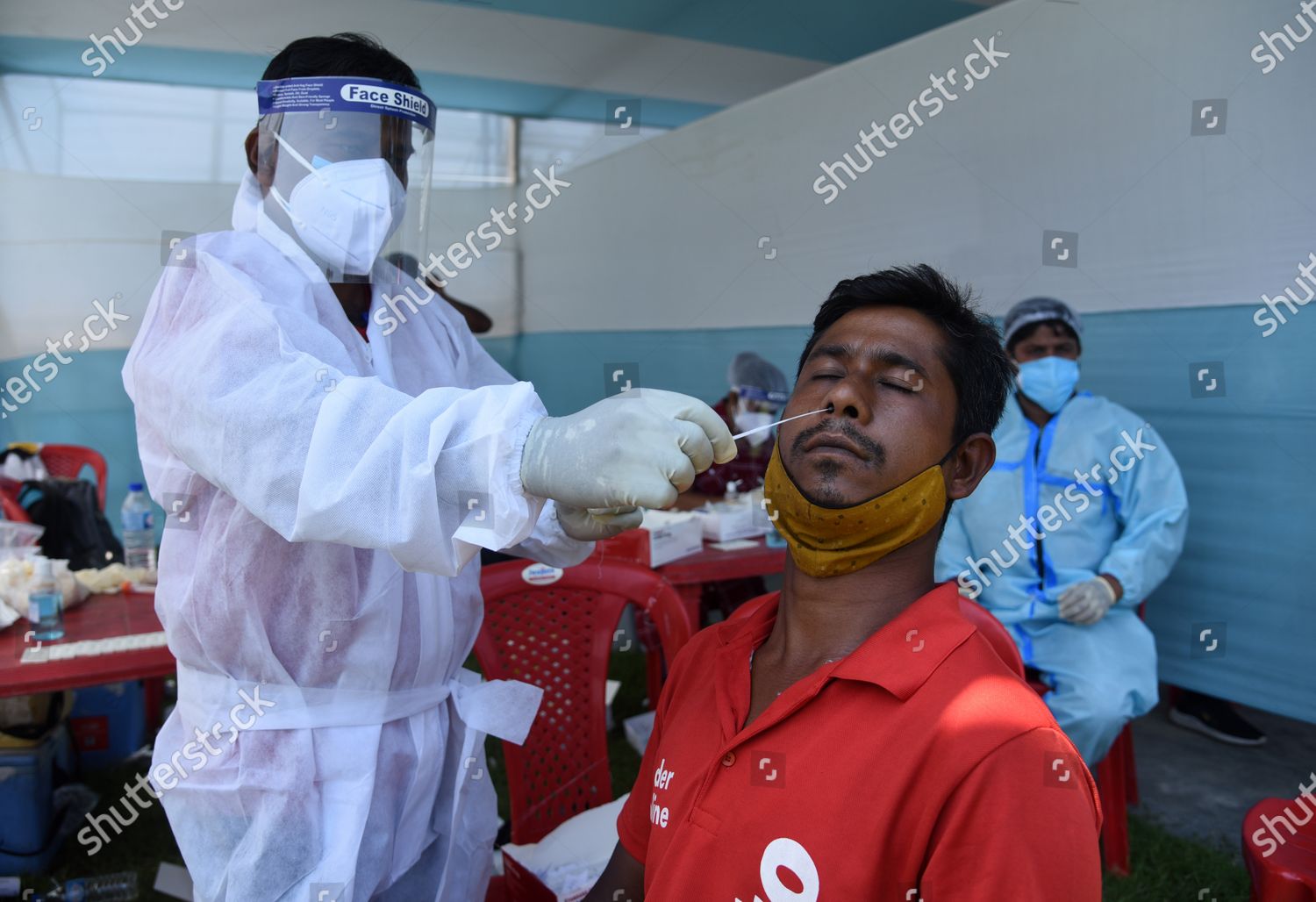 health-worker-takes-swab-sample-food-editorial-stock-photo-stock