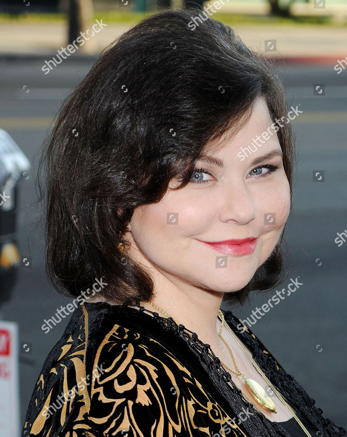 Delta Burke Editorial Stock Photo - Stock Image | Shutterstock