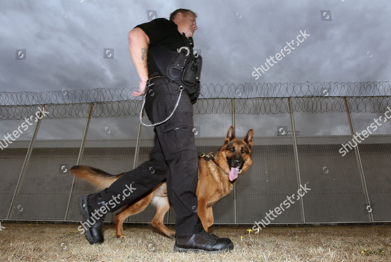 Prison Dog Handler Guards Patrol Perimeter Editorial Stock Photo