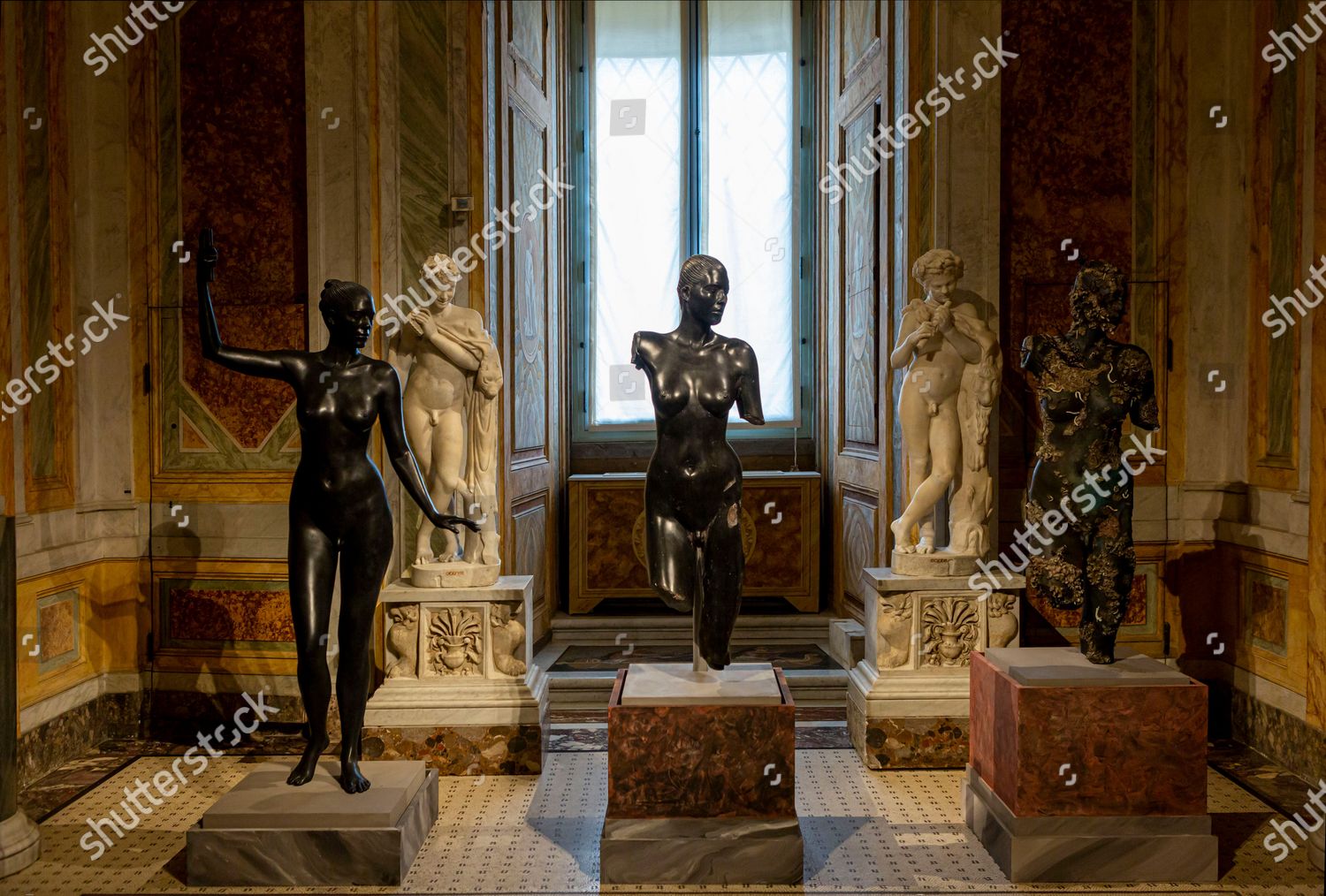 Hermaphrodite Gallery Hermaphrodite Gallery