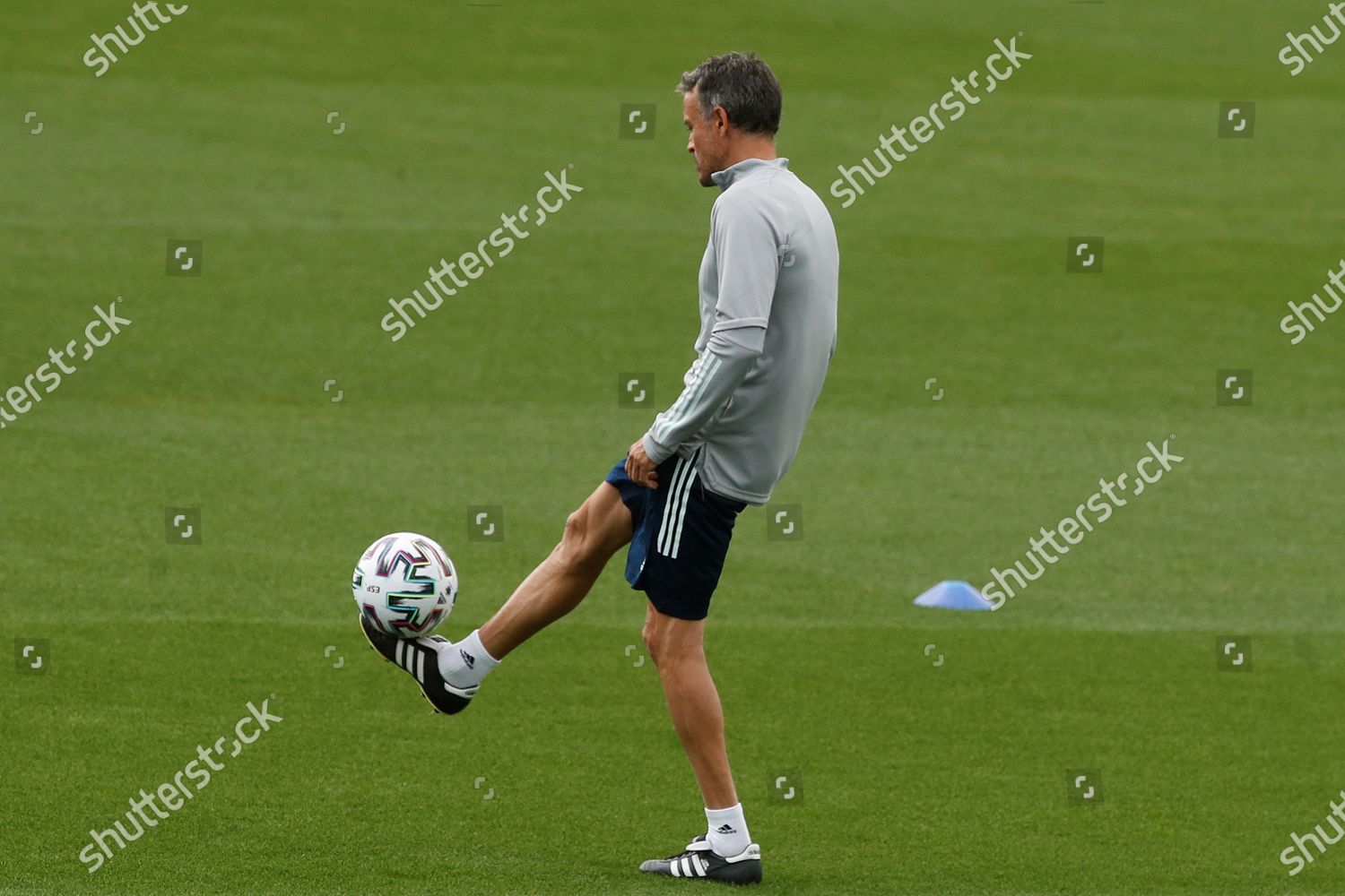 Head Coach Spanish National Soccer Team Editorial Stock Photo - Stock
