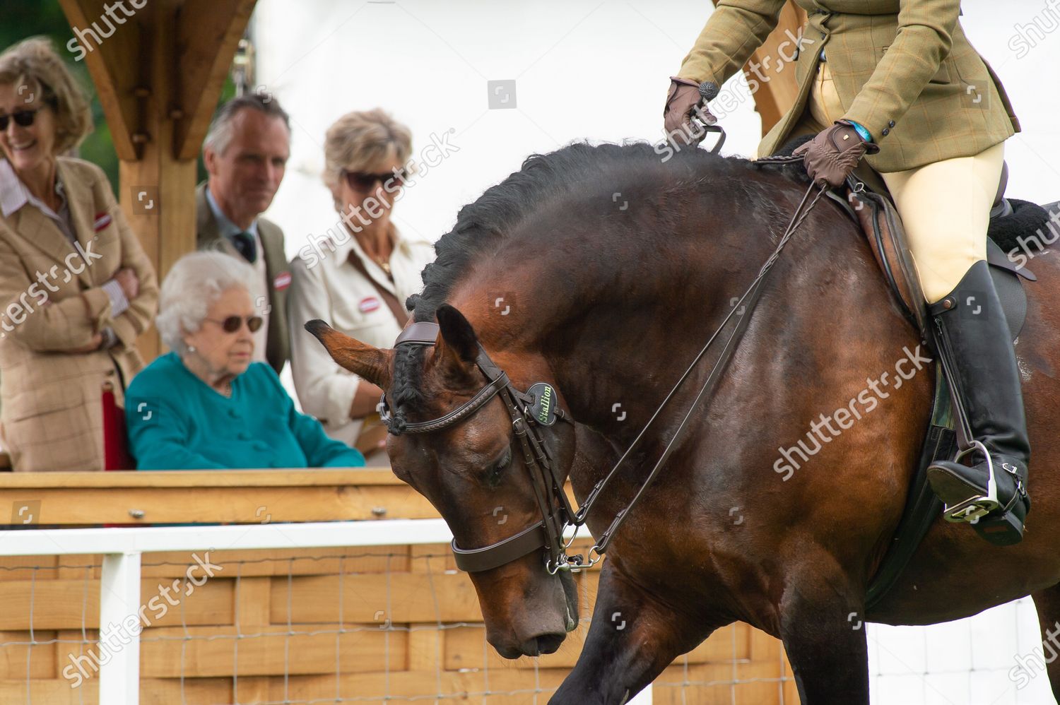 royal-windsor-horse-show-day-1-uk-shutterstock-editorial-12191766ds.jpg