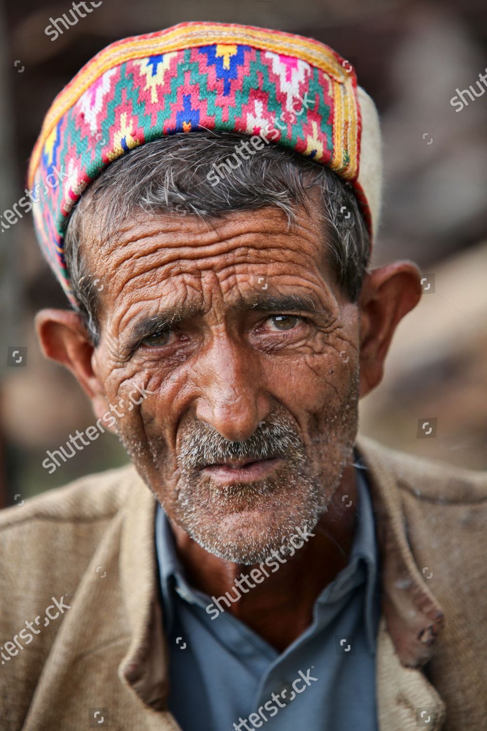 Gaddi Man Wearing Traditional Cap Mandher Editorial Stock Photo - Stock ...