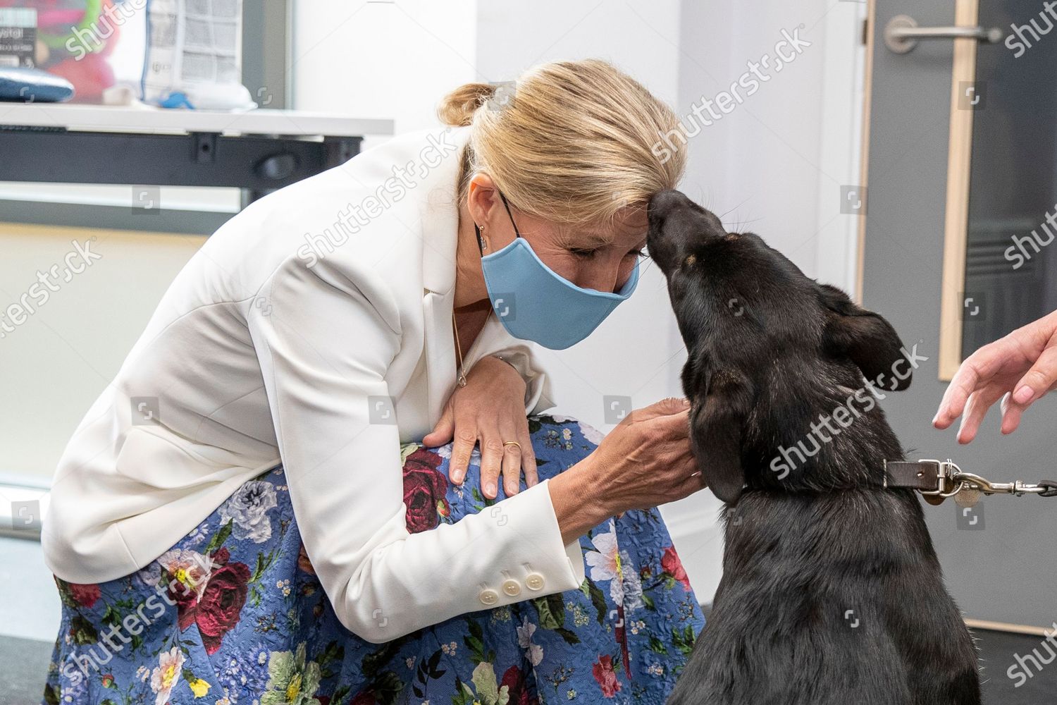 sophie-countess-of-wessex-and-princess-alexandra-visit-to-the-guide-dogs-for-the-blind-association-bristol-uk-shutterstock-editorial-12199244d.jpg
