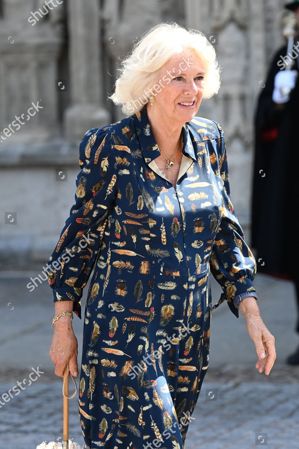 prince-charles-and-camilla-duchess-of-cornwall-visit-to-devon-and-cornwall-day-1-uk-shutterstock-editorial-12221468f.jpg
