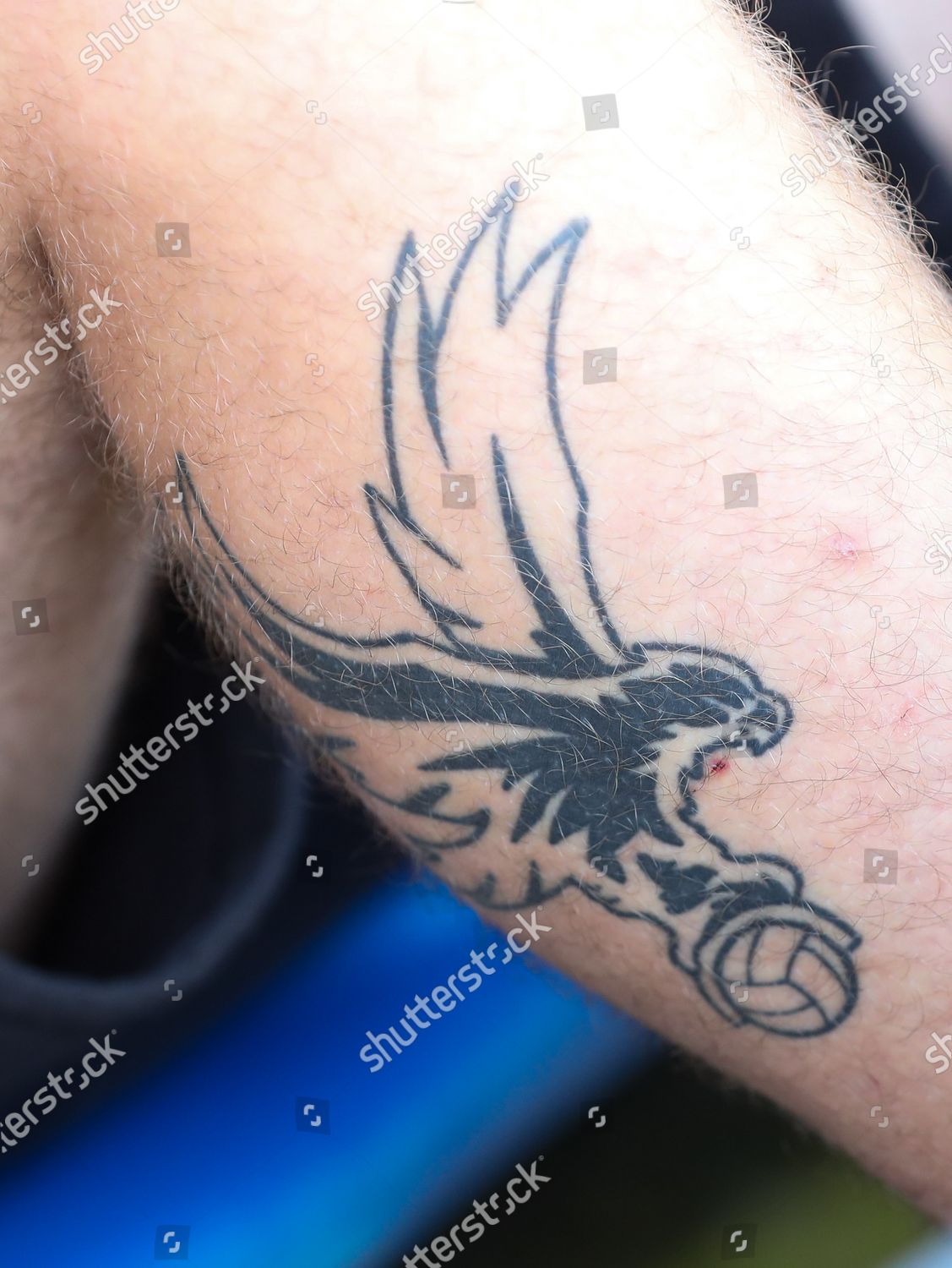 Palace Supporters Eagle Tattoo Editorial Stock Photo  Stock Image   Shutterstock