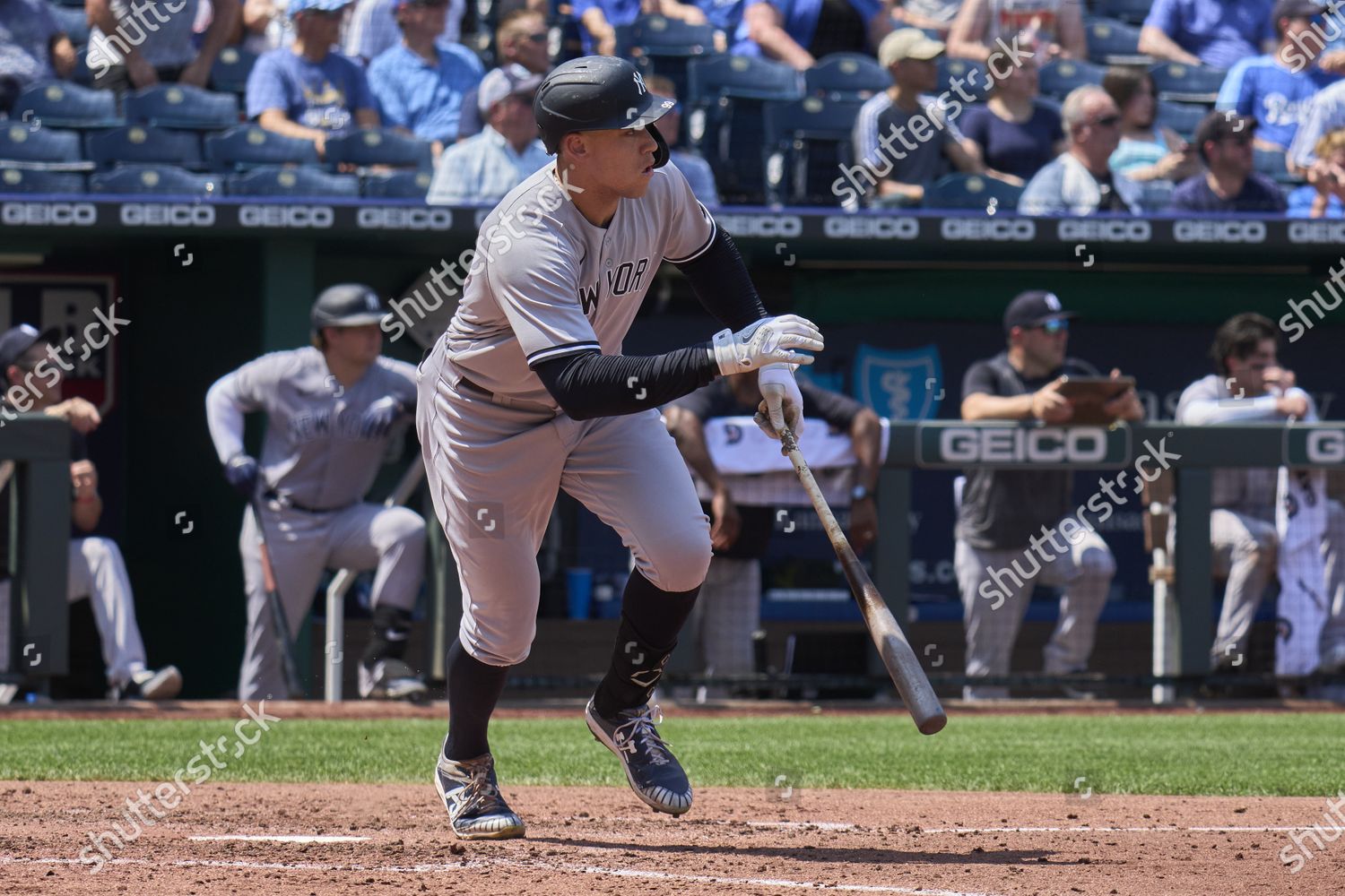 New York Designated Hitter Aaron Judge Editorial Stock Photo - Stock 