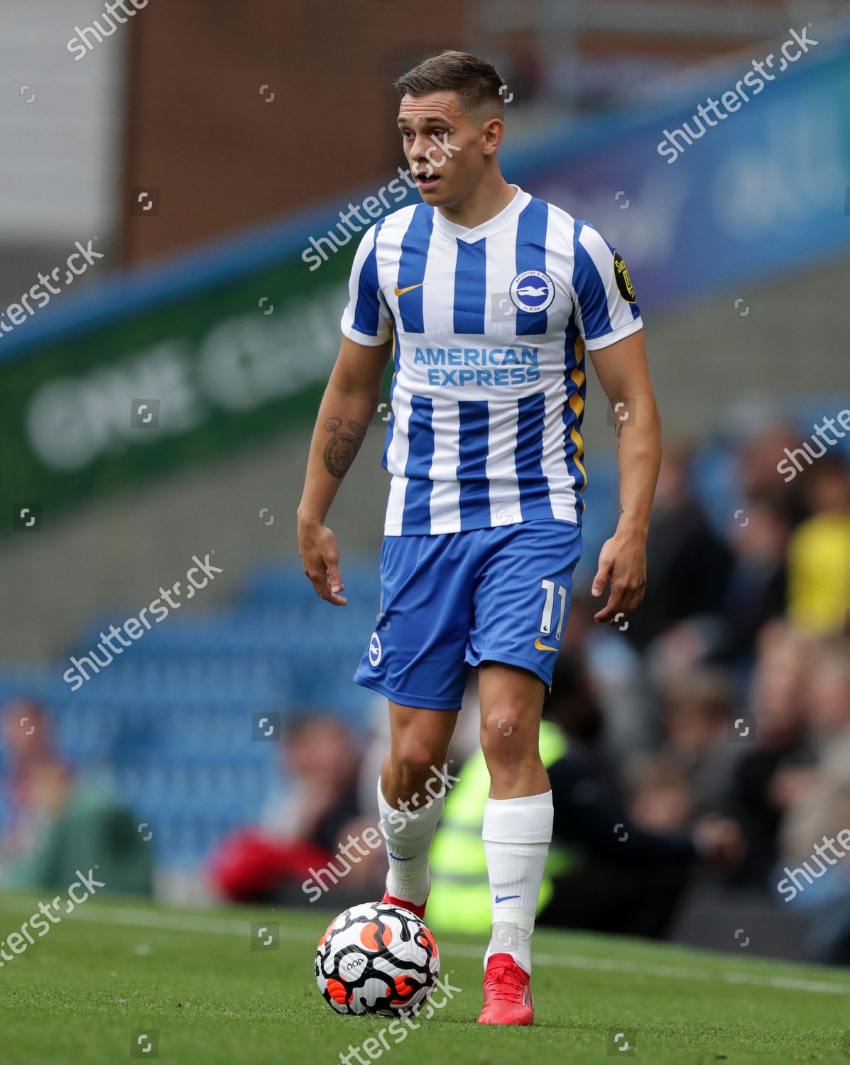 Leandro Trossard Brighton Hove Albion Turf Editorial Stock Photo ...