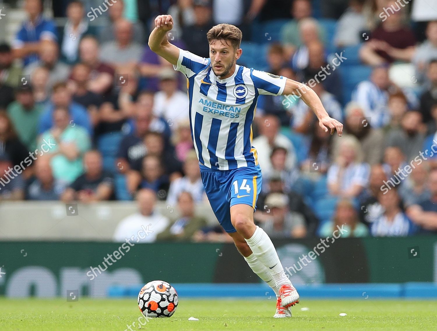 Adam Lallana Brighton Hove Albion Editorial Stock Photo - Stock Image ...