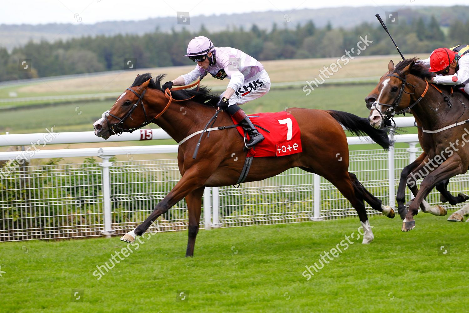 Aratus David Egan Win Tote Quadpot Editorial Stock Photo Stock Image