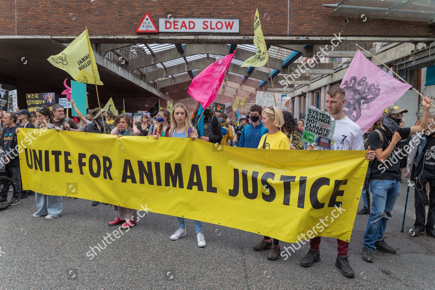 ANIMAL RIGHTS PROTESTERS ACTIVISTS INCLUDING EXTINCTION Editorial Stock ...