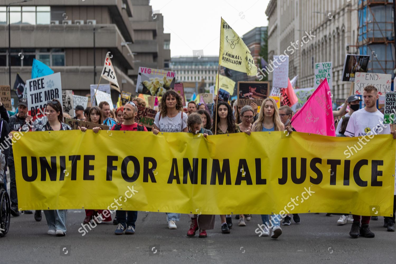 Animal Rights Protesters Activists Including Extinction Editorial Stock ...