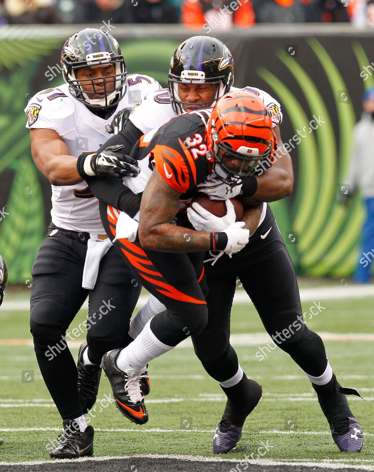 Cincinnati Bengals Half Back Jeremy Hill Editorial Stock Photo - Stock ...