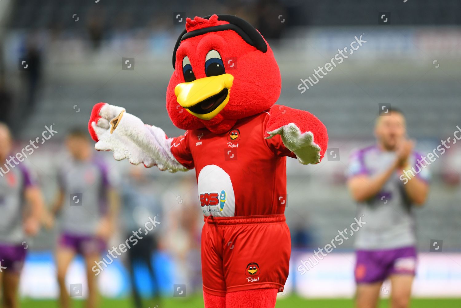 Hull Kingston Rovers Mascot Rufus Robin Editorial Stock Photo - Stock ...