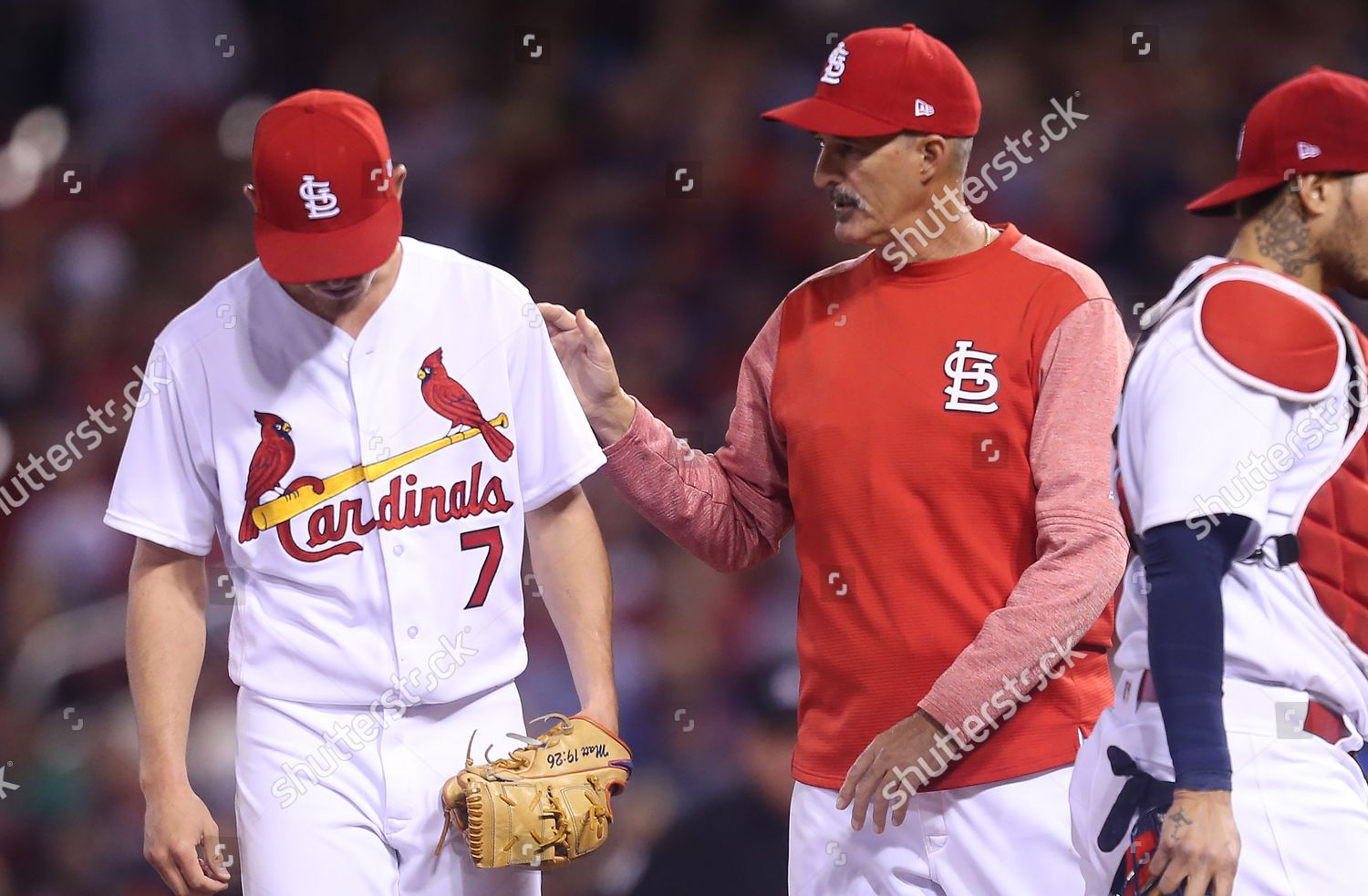 St Louis Cardinals Pitching Coach Mike Editorial Stock Photo Stock