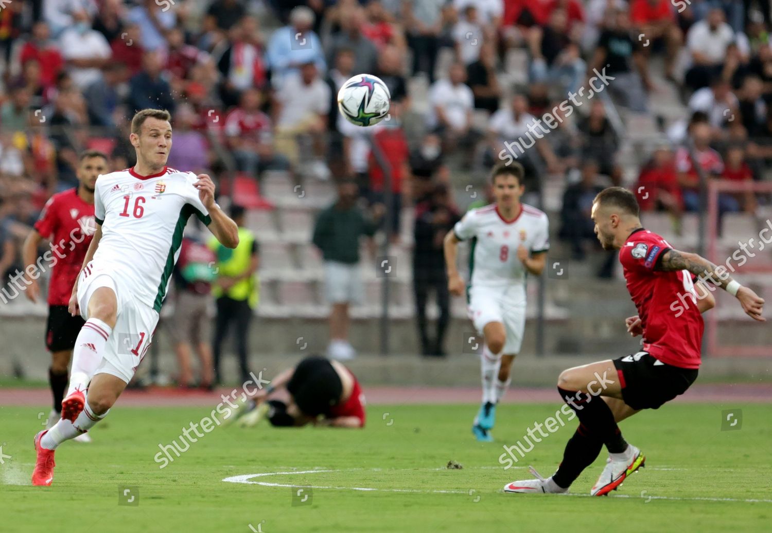 Daniel Gazdag L Hungary Action Against Editorial Stock Photo - Stock ...