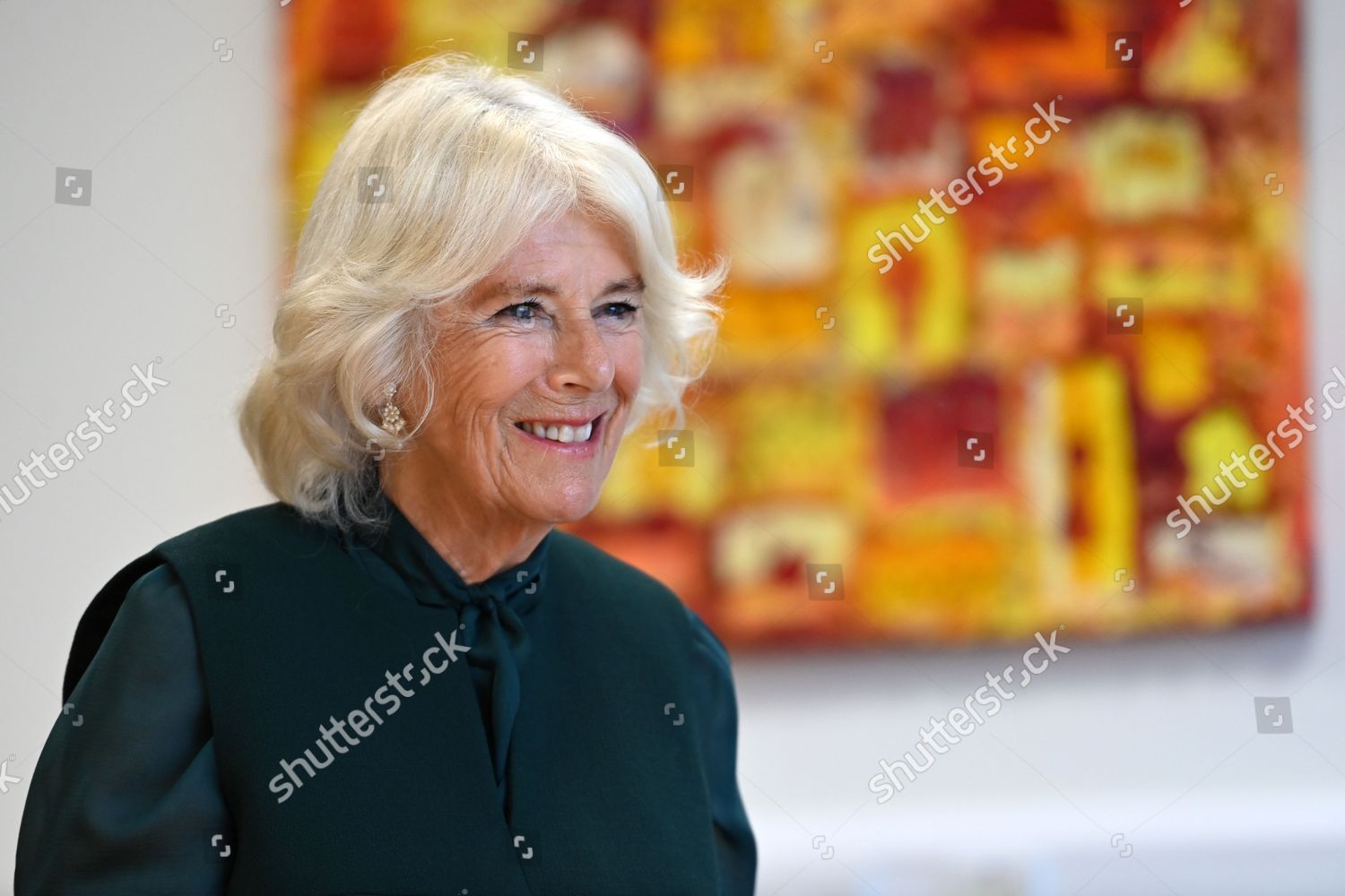 the-duchess-of-rothesay-visit-to-nairn-book-and-arts-festival-and-environment-charity-green-hive-nairn-community-centre-scotland-uk-shutterstock-editorial-12437607m.jpg
