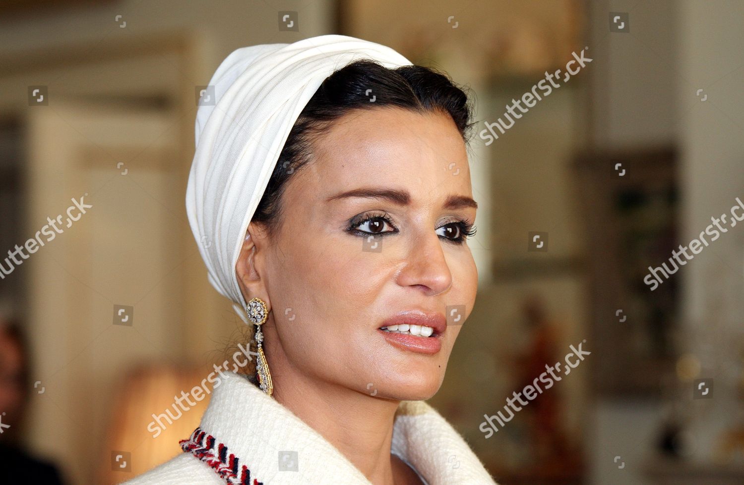 Sheikha Mozah Bint Nasser Al Missned Editorial Stock Photo - Stock ...