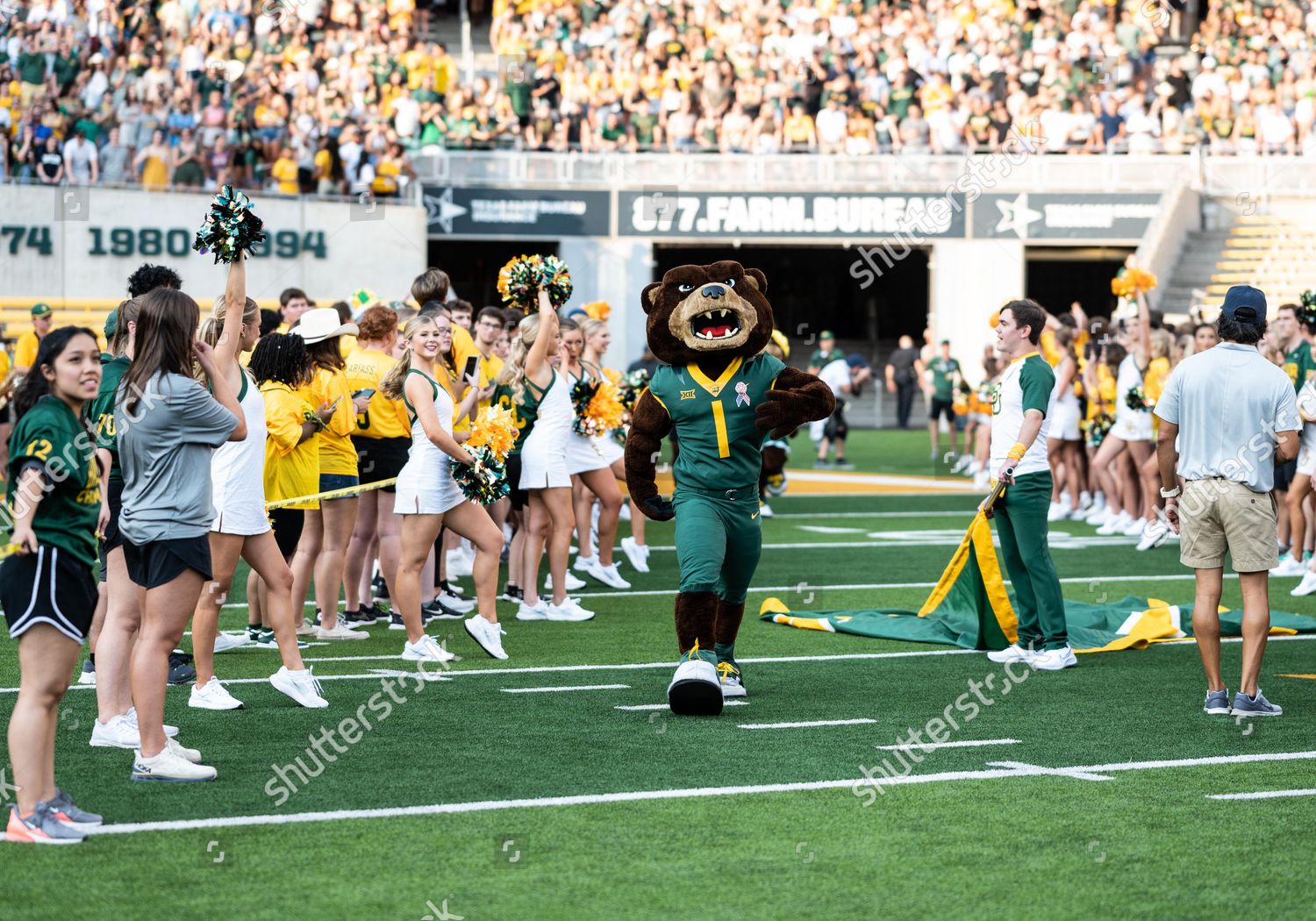 Baylor Bears Mascot Walk By Cheerleaders Editorial Stock Photo - Stock ...