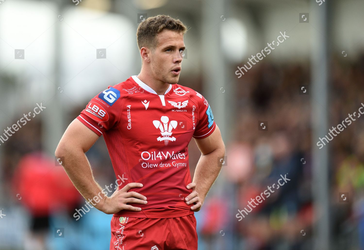 Kieran Hardy Scarlets Scrum Half Editorial Stock Photo - Stock Image ...