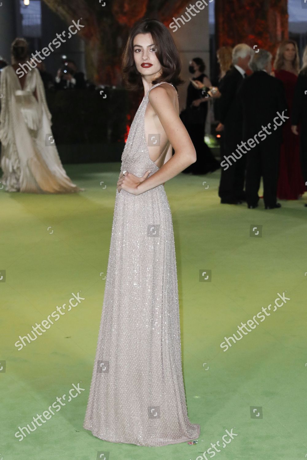 diana-silvers-poses-on-red-carpet-editorial-stock-photo-stock-image