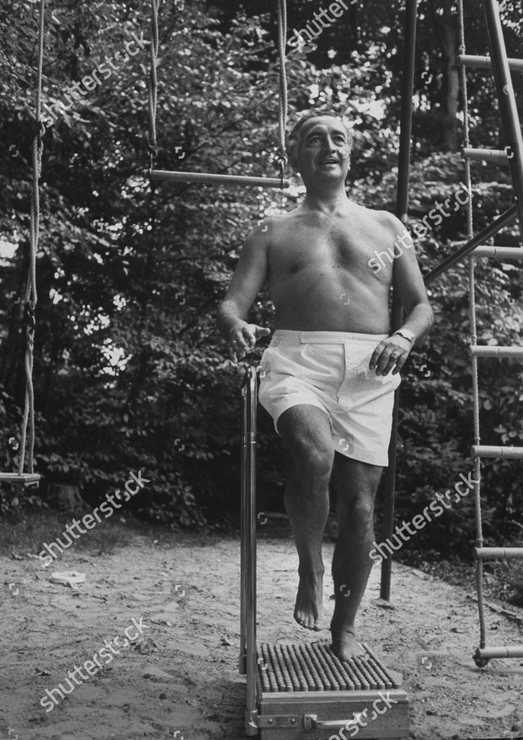 leader-fdp-party-erich-mende-doing-editorial-stock-photo-stock-image