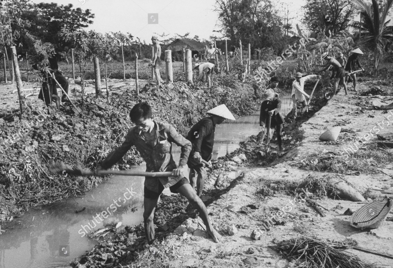 Vietnamese Digging Irrigation Ditch Kien Hoa Editorial Stock Photo ...