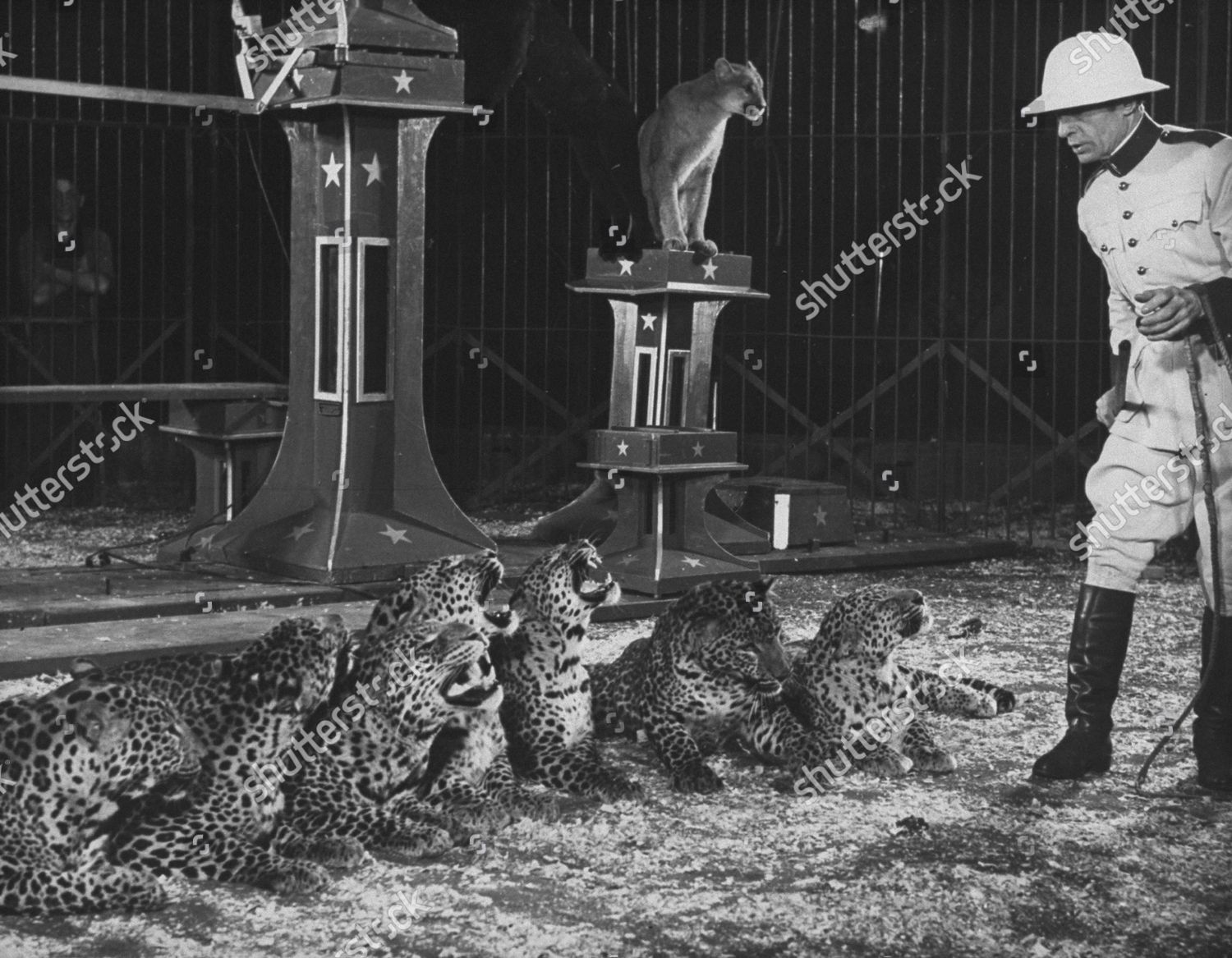 Ringling Bros Editorial Stock Photo - Stock Image | Shutterstock