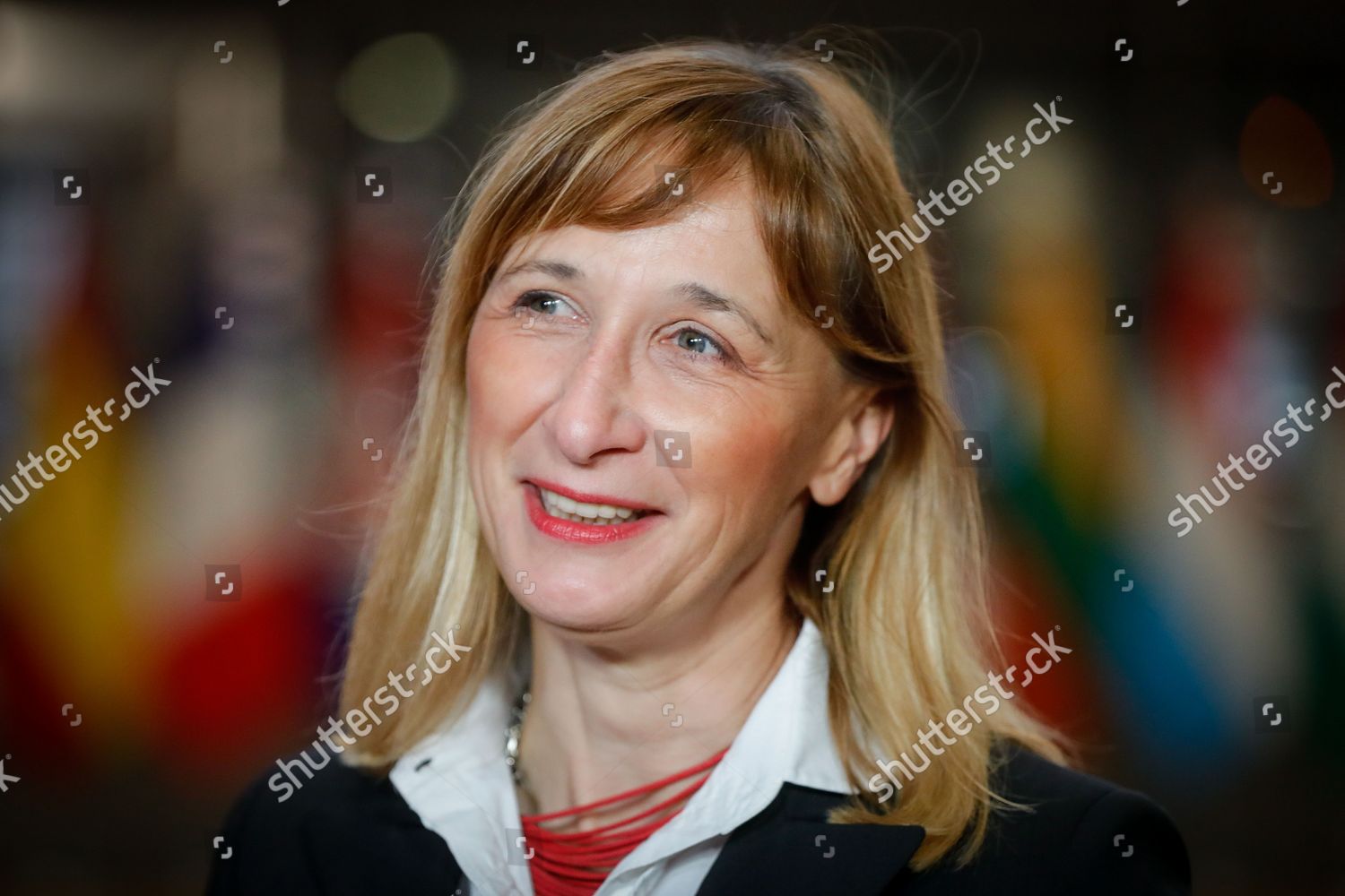 Croatian State Secretary Ministry Economy Sustainable Editorial Stock