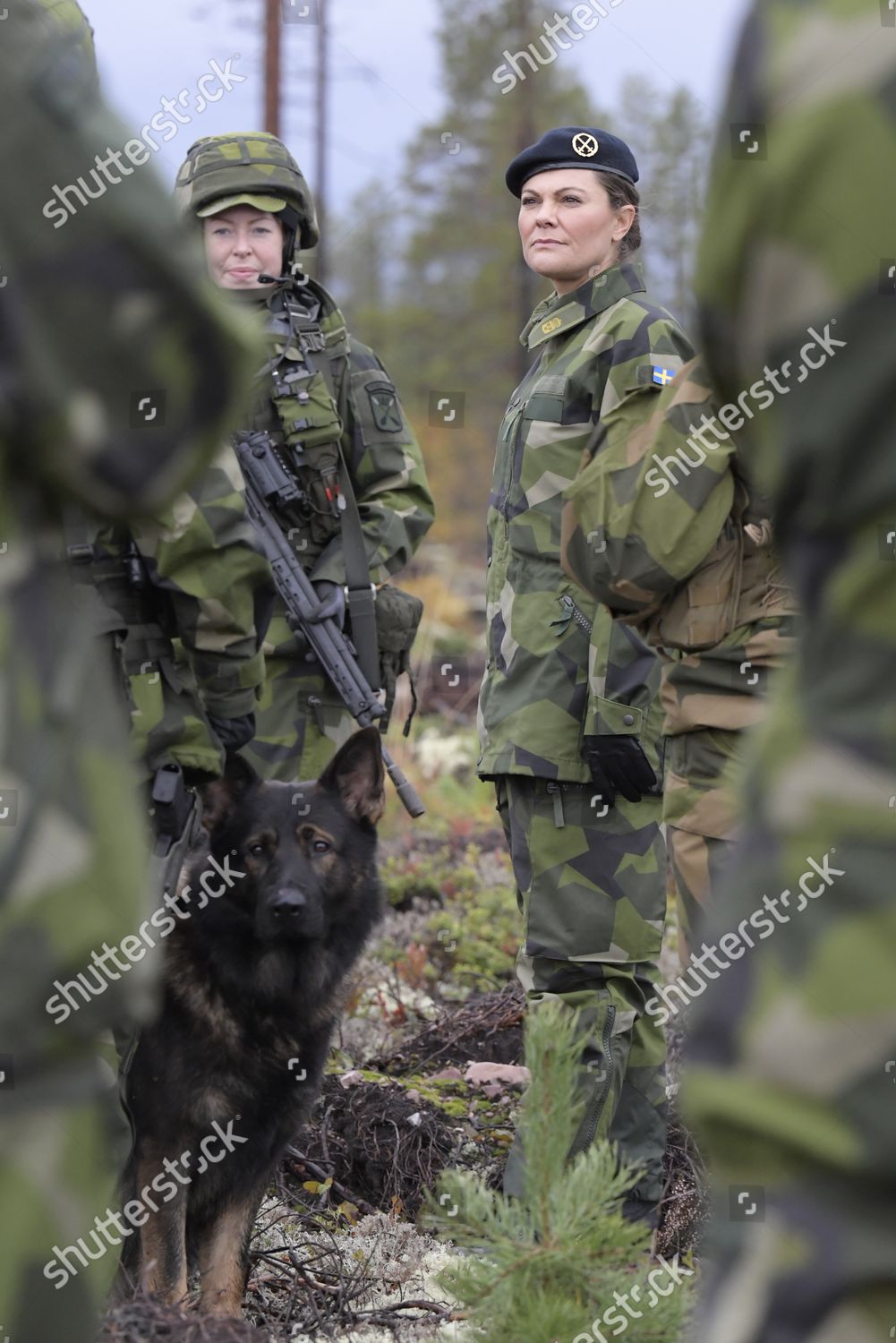 crown-princess-victoria-visits-the-swedish-home-guard-salenfjallen-sweden-shutterstock-editorial-12502339n.jpg