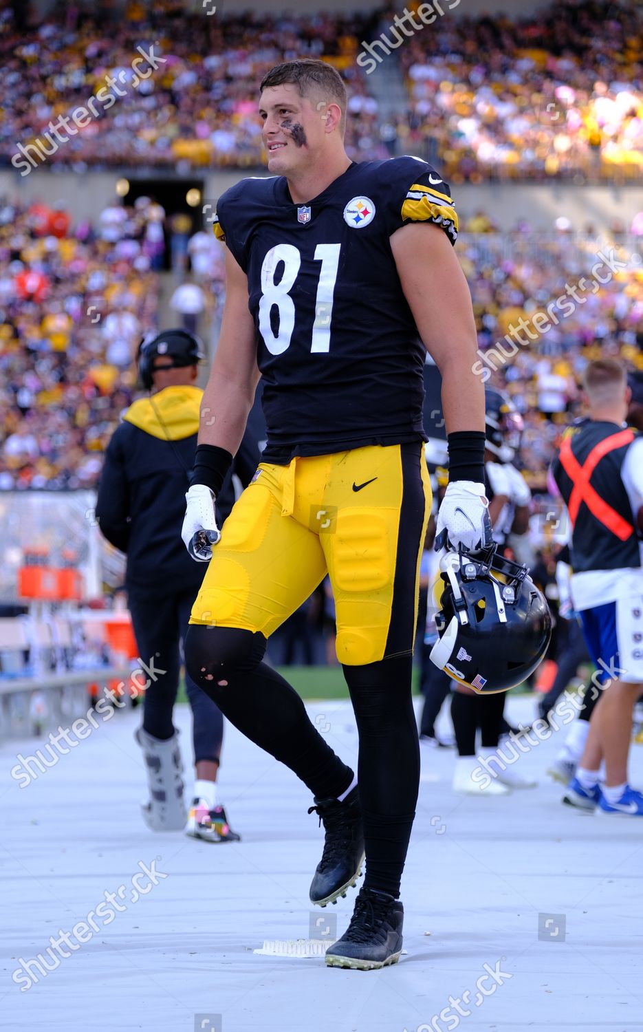 Pittsburgh Steelers tight end Zach Gentry (81) plays in an NFL football  game against the Tennessee Titans, Sunday, Dec. 19, 2021, in Pittsburgh.  (AP Photo/Gene J. Puskar Stock Photo - Alamy