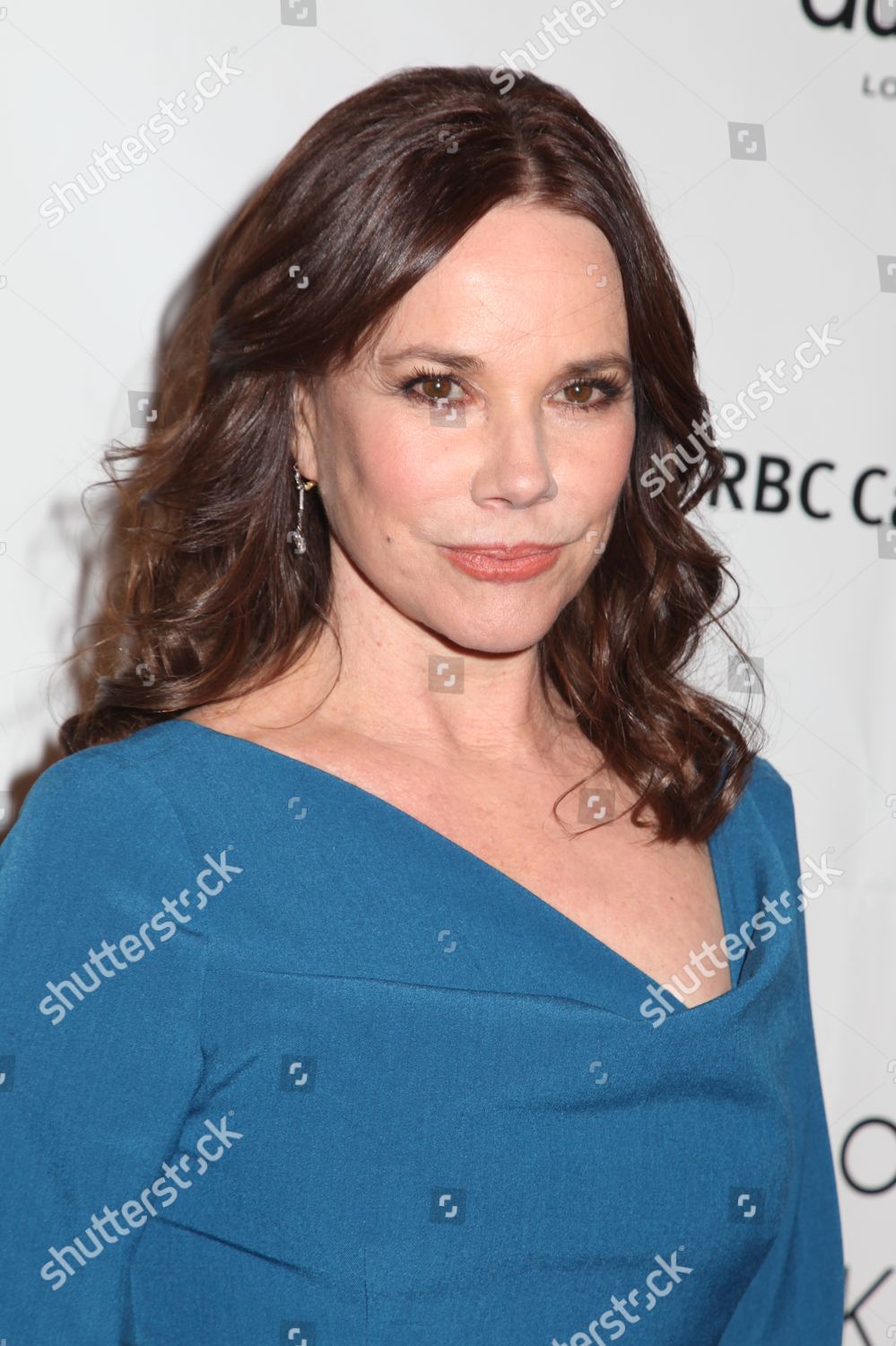 Barbara Hershey Editorial Stock Photo - Stock Image | Shutterstock