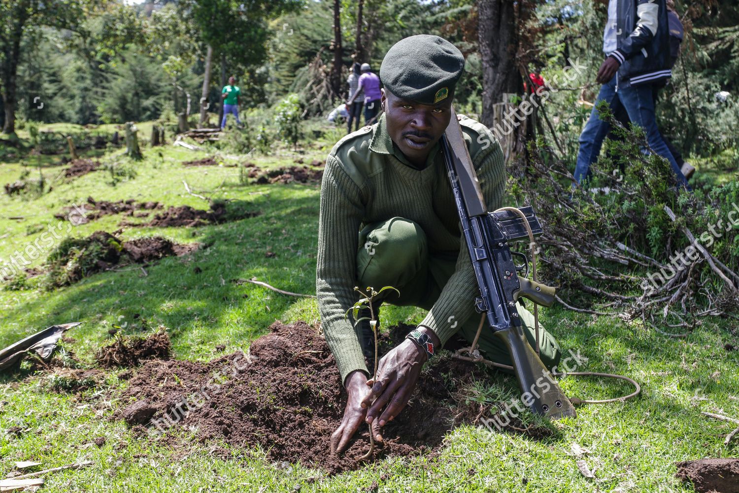 Armed Kenya Forest Service Ranger Plants Redaktionelles Stockfoto