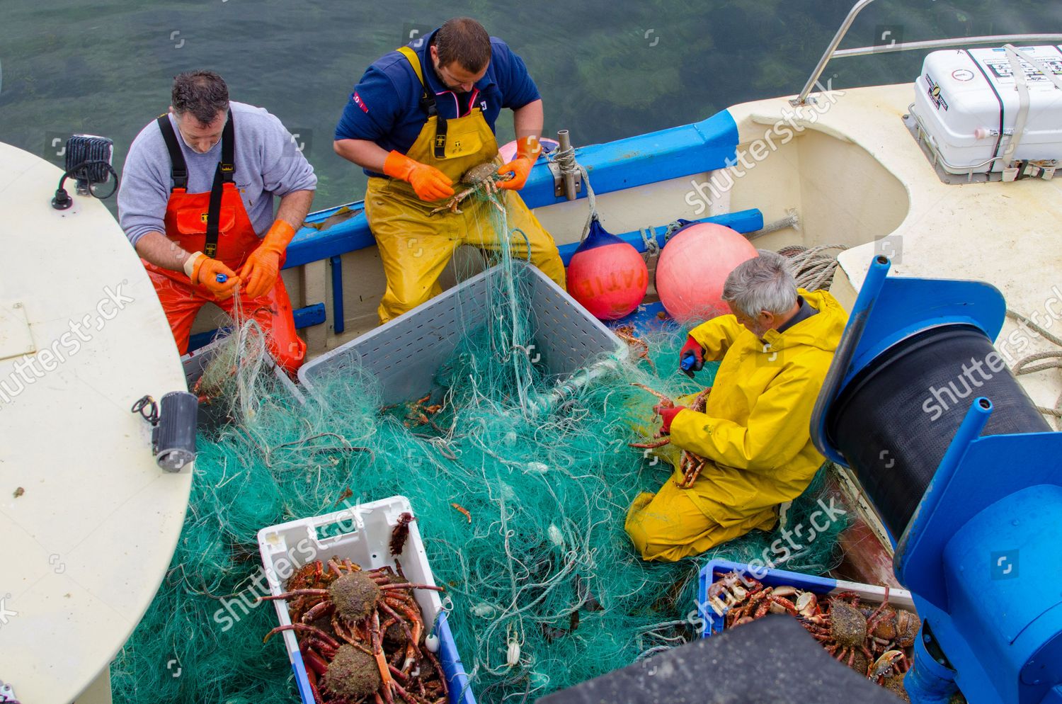 Traditional French Fishermen Seen Taking Lobsters Editorial Stock Photo 