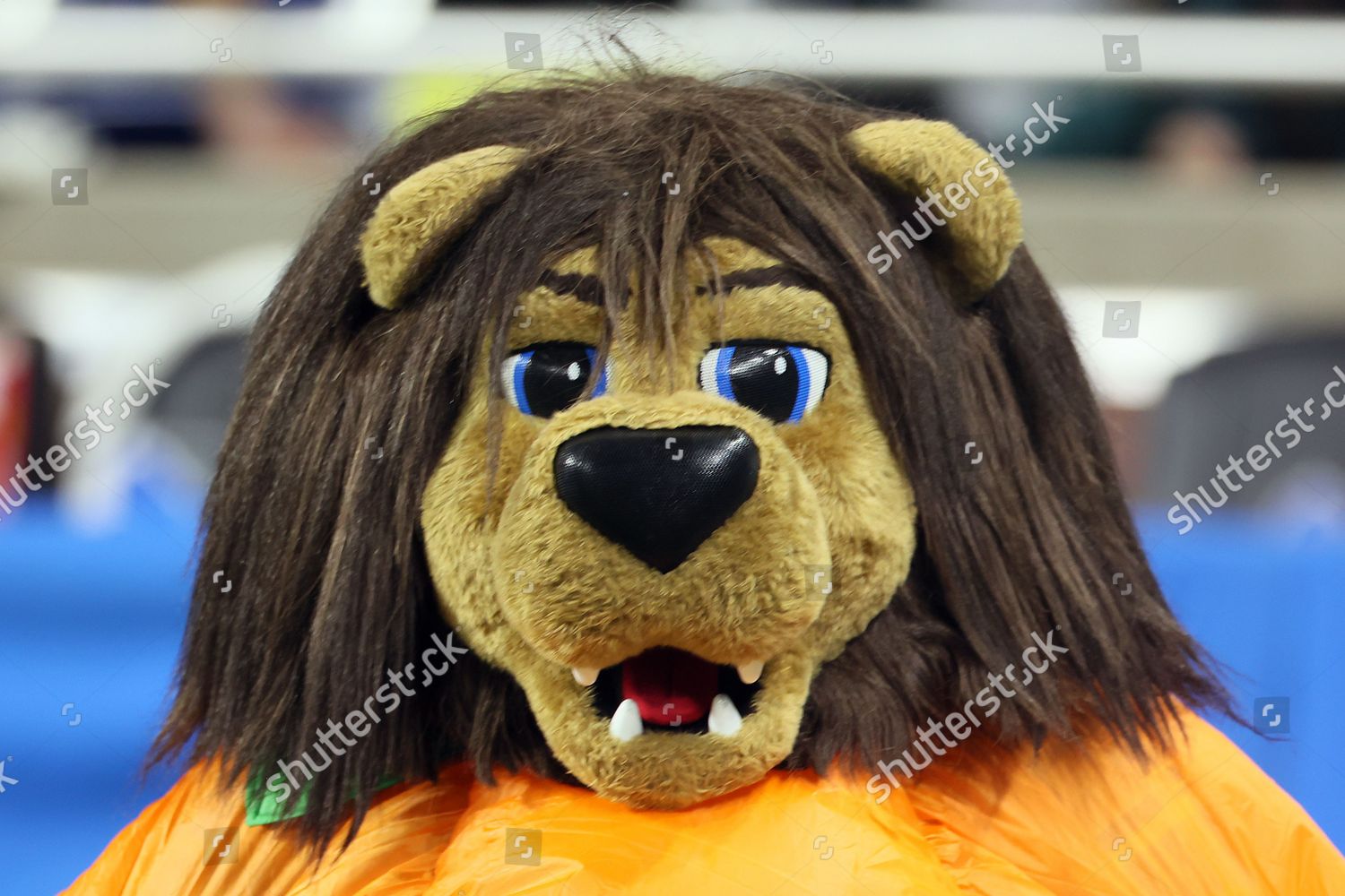 Detroit Lions Mascot Roary Walks On Editorial Stock Photo - Stock