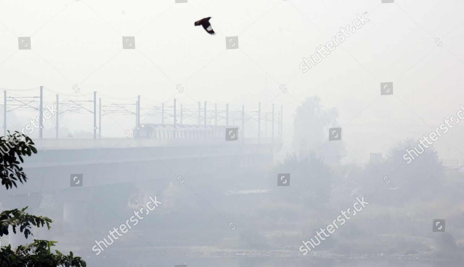 View National Highway 24 Engulfed Dense Editorial Stock Photo - Stock ...