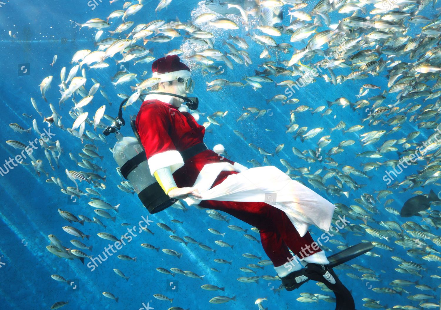 Yokohama Japan Diver Santa Costume Swims Editorial Stock Photo - Stock ...