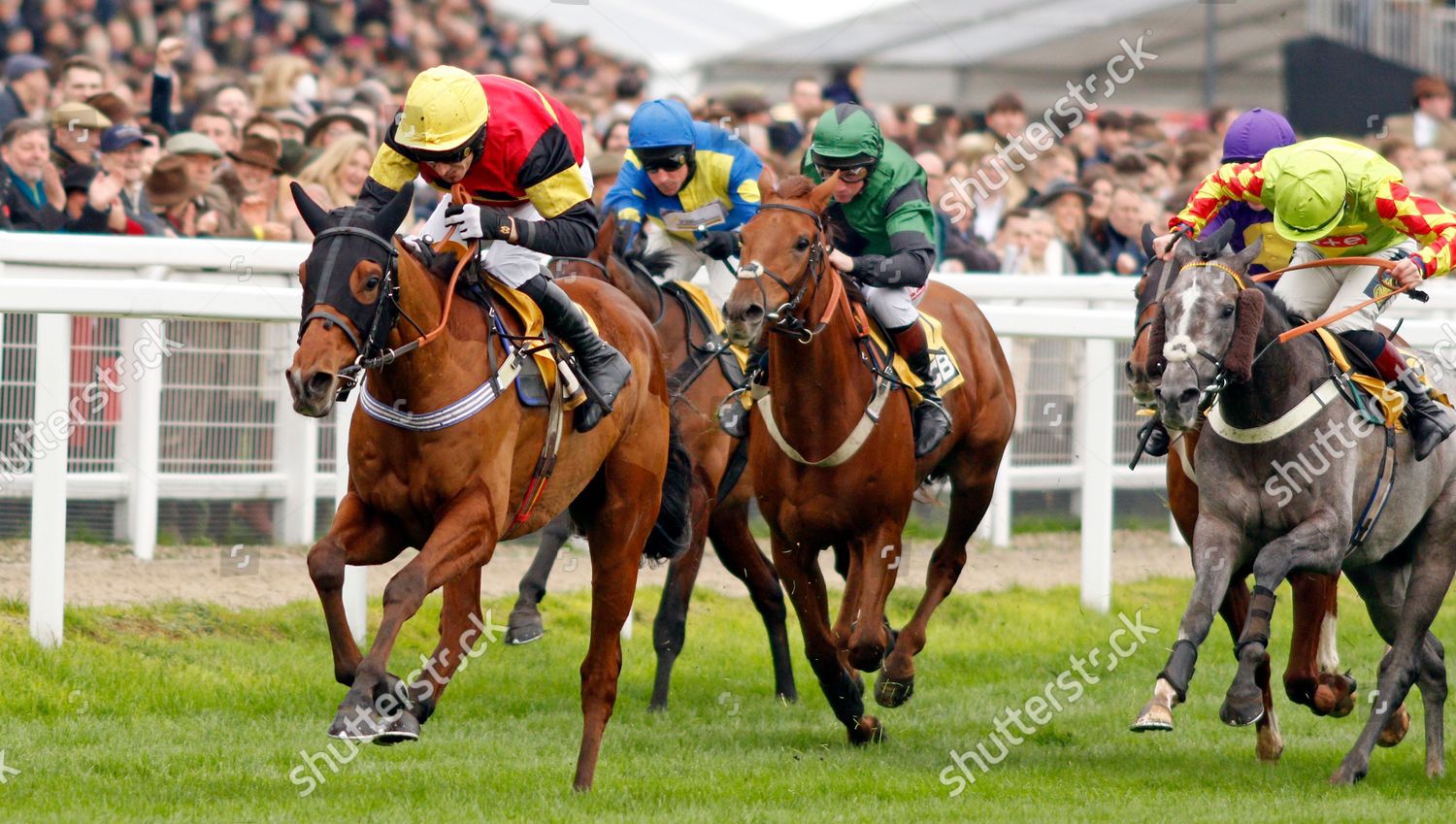 Knight Salute Paddy Brennan Wins Jcb Editorial Stock Photo - Stock ...