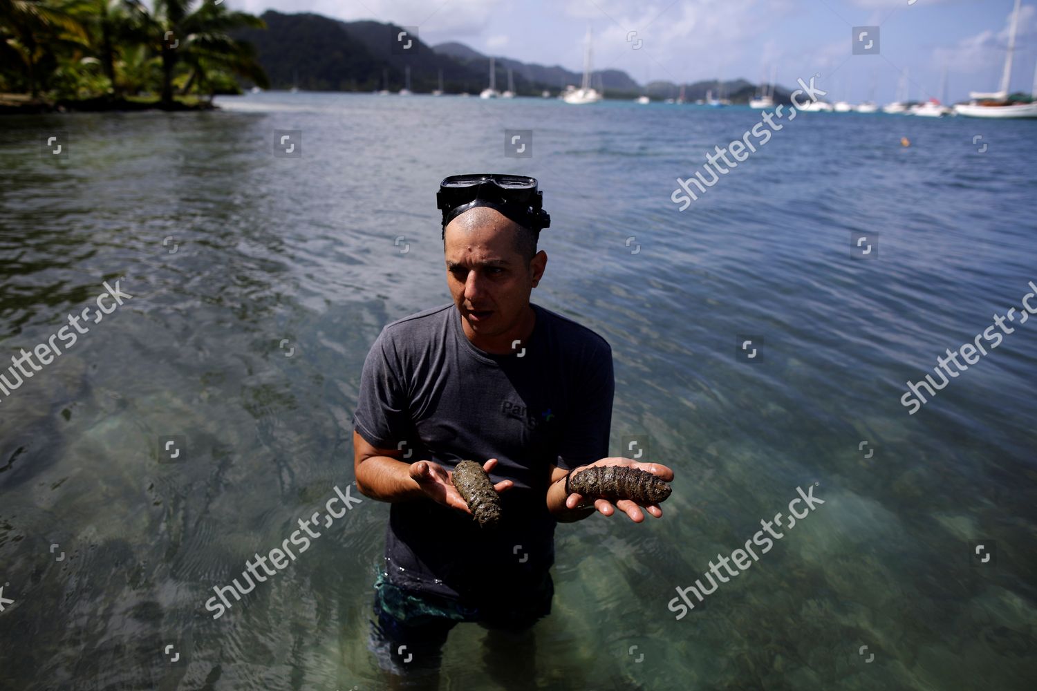 David Grossman Founder Executive Director Panasea Editorial Stock Photo -  Stock Image | Shutterstock Editorial