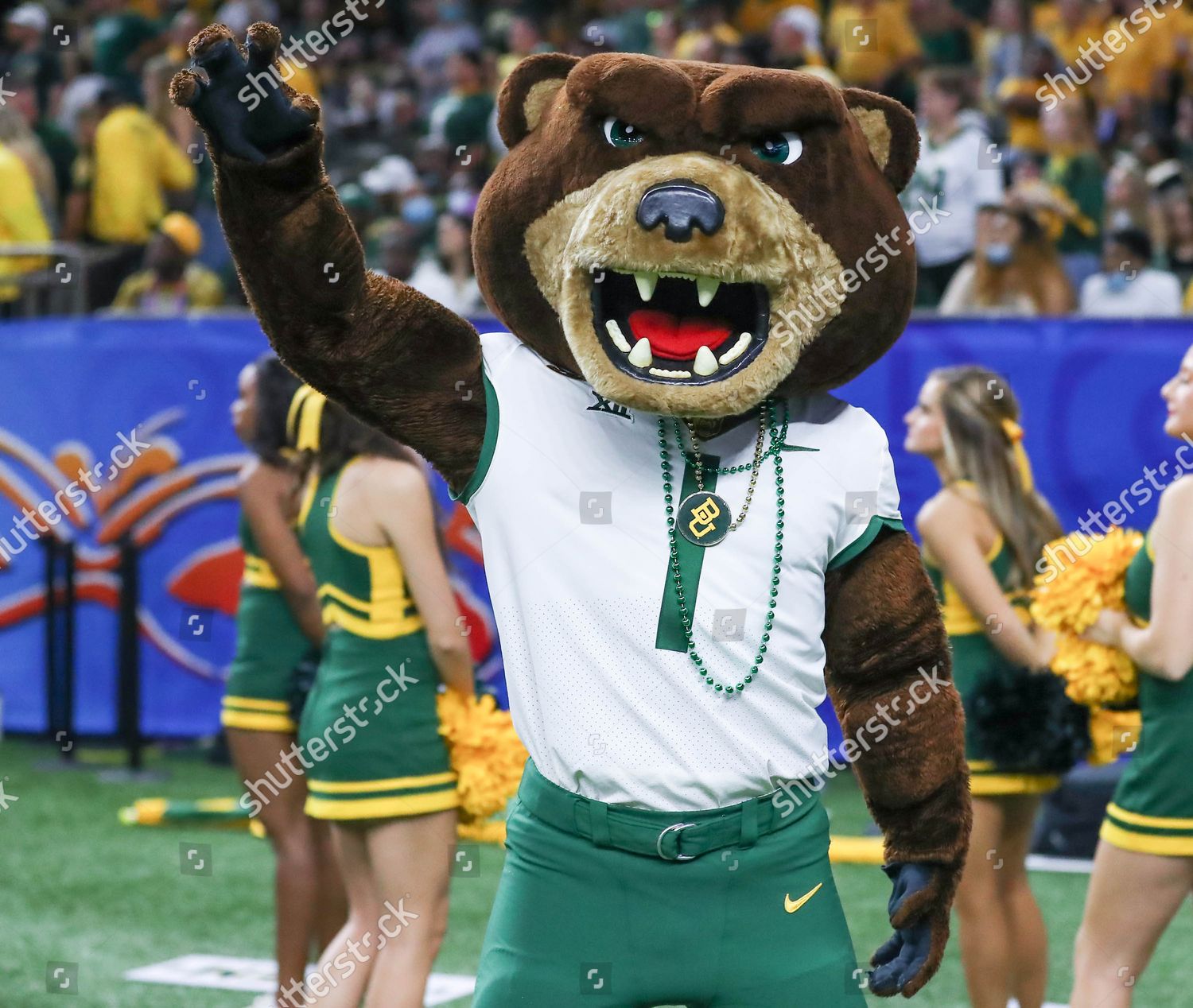 Baylor Bears Mascot Bruiser Poses Picture Editorial Stock Photo - Stock ...