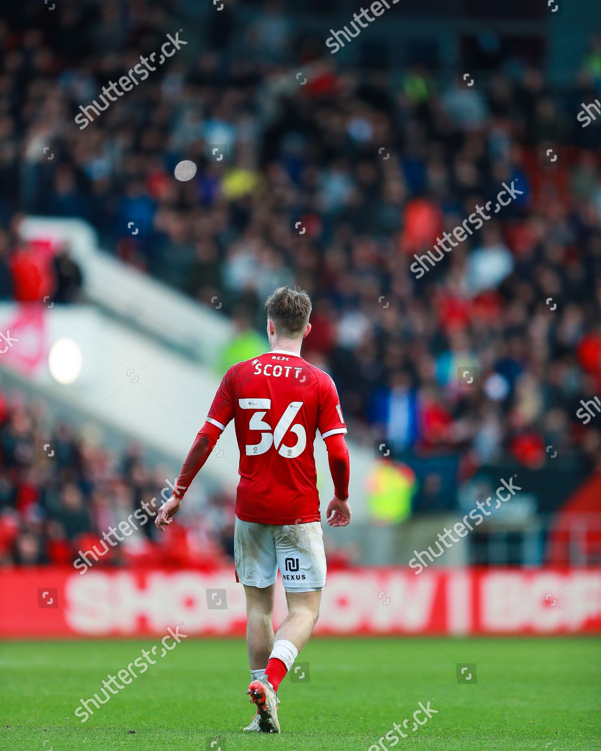 Millwall v Bristol City: Confirmed team news and predicted XI after Alex  Scott exit - gallery