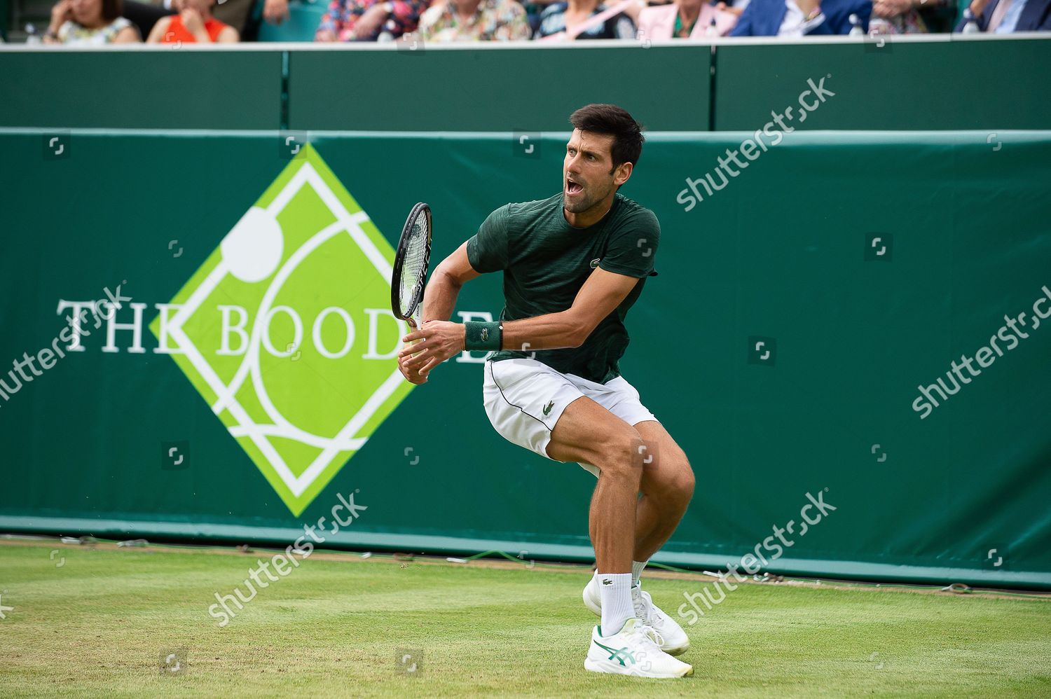 world-number-one-tennis-player-novak-editorial-stock-photo-stock