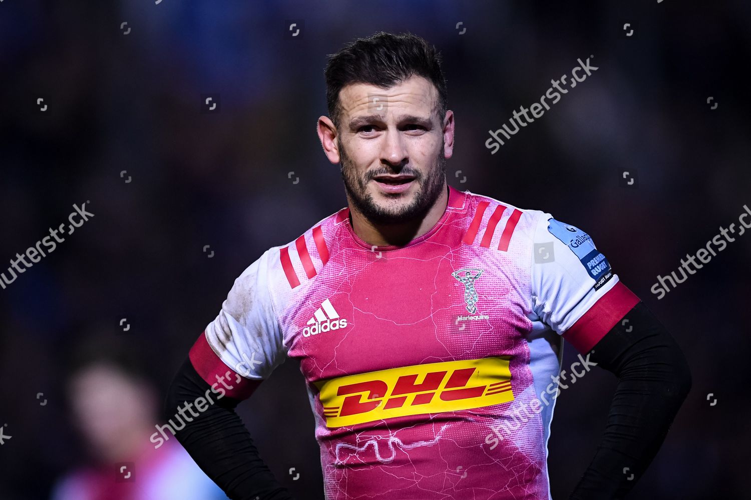 Danny Care Harlequins Editorial Stock Photo Stock Image Shutterstock