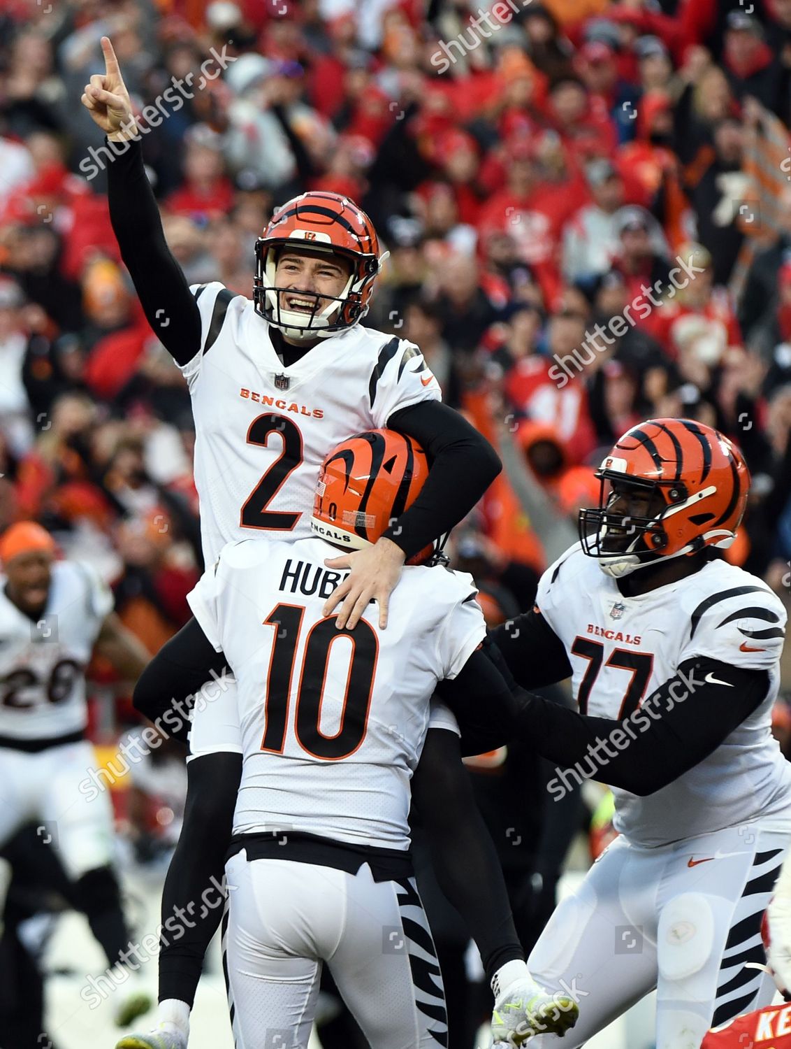 Bengals Playoff Win Cincinnati Bengals 2022 Editorial 