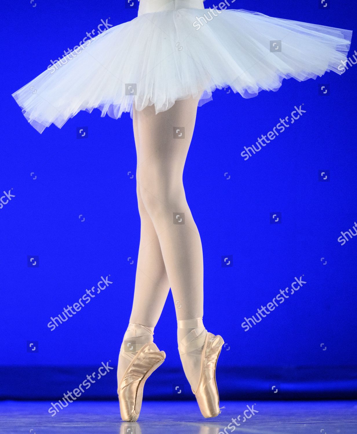 Legs Dancer Lily Sophia Dashwood Australia Editorial Stock Photo ...