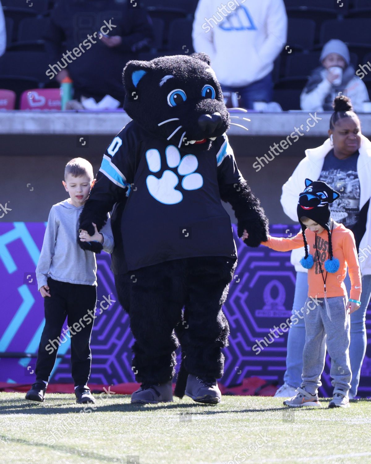 Sir Purr Home  Carolina Panthers 