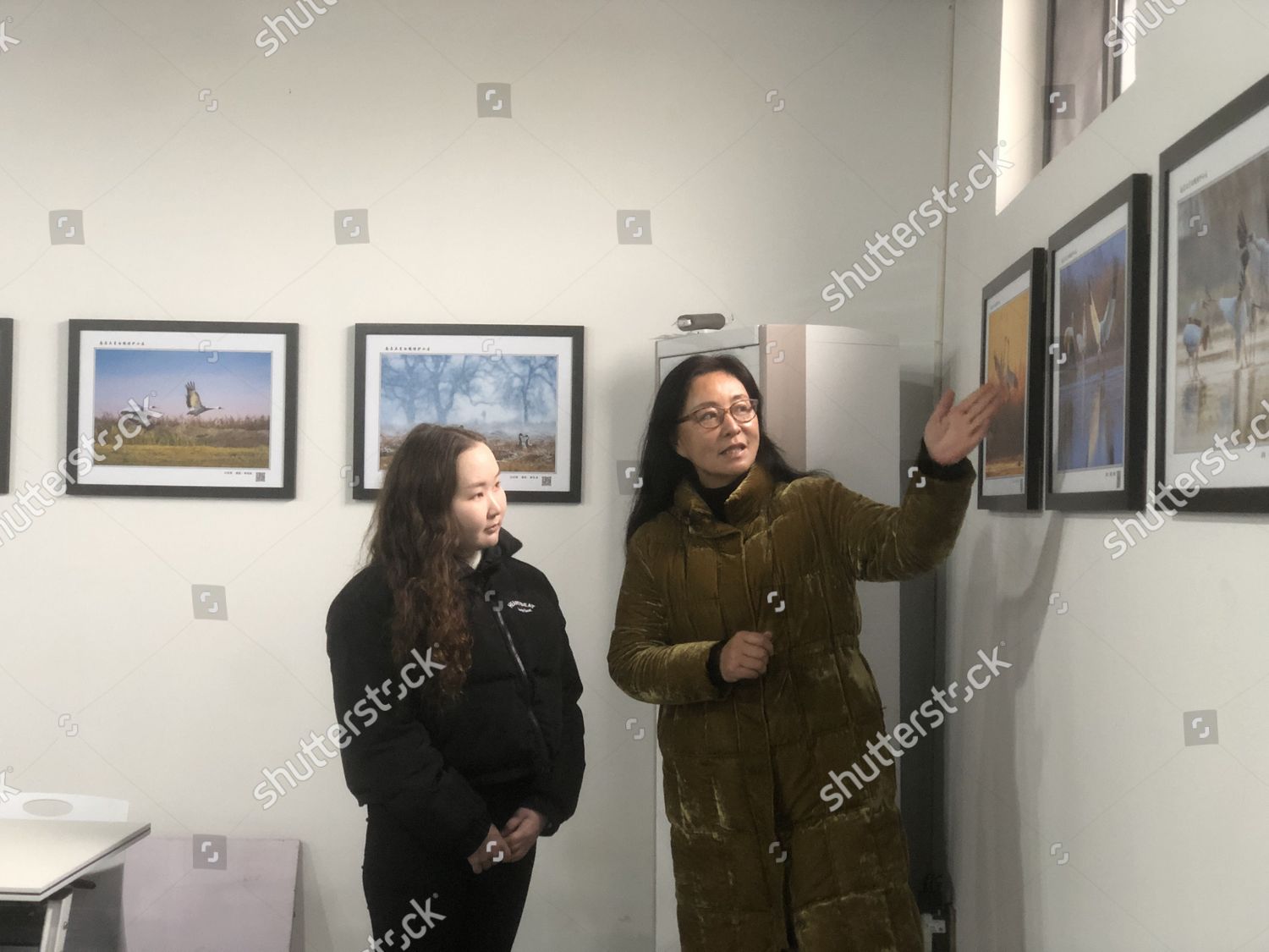 Zhou Haiyan R Founder Five Stars Editorial Stock Photo Stock Image