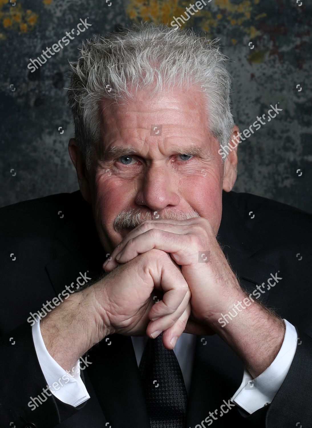 Ron Perlman Editorial Stock Photo - Stock Image | Shutterstock