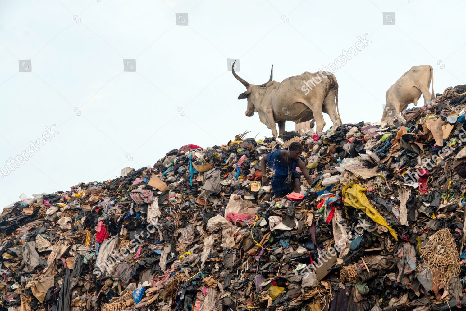 Unsellable Imported Used Clothes Rot Dumpsite Editorial Stock Photo Stock Image Shutterstock